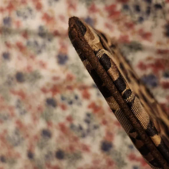 Coach Small Leopard Print Wristlet - Picture 10 of 12